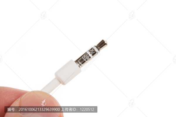 電音頻插頭
