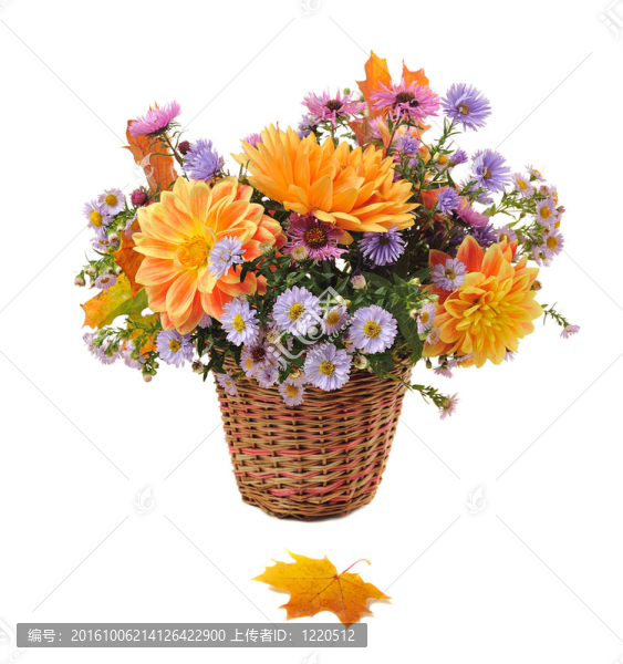 秋花花束