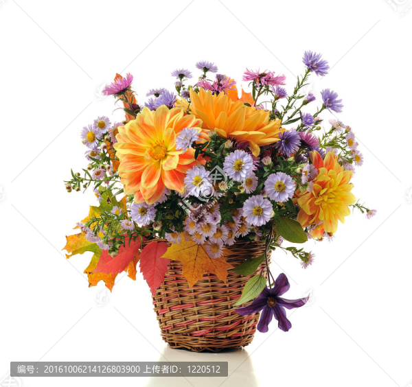 秋花花束