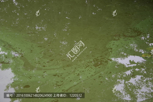 綠道