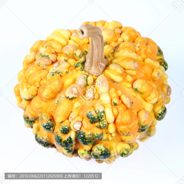 黃南瓜