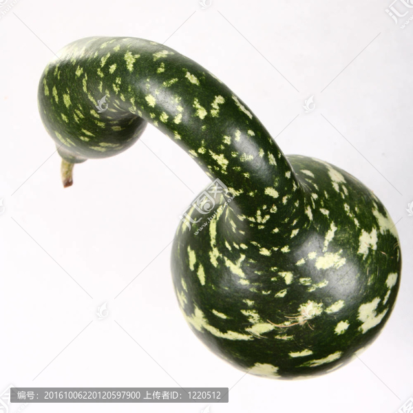 綠色的南瓜