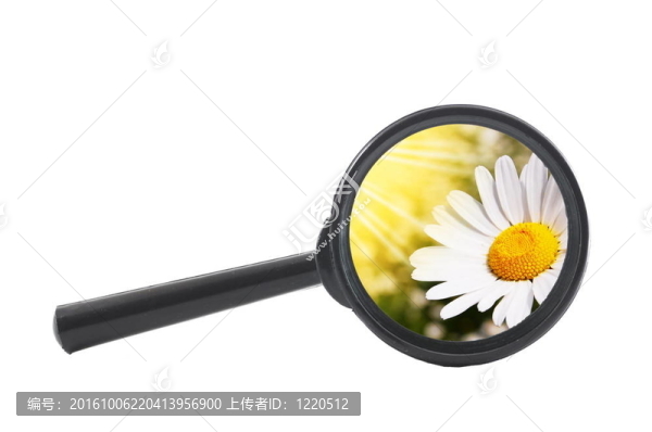 放大鏡和花