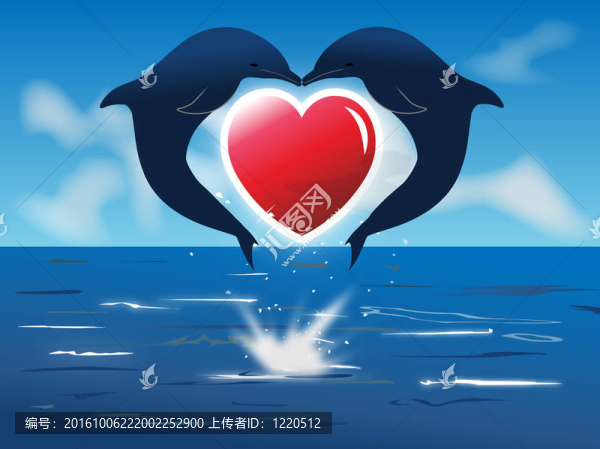 海豚