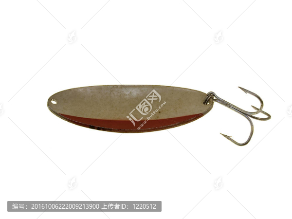 老魚米色搖擺