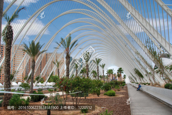 Ciudad,de,las,Artes,y,las,Ciencias；瓦倫西亞；西班牙；2007三月