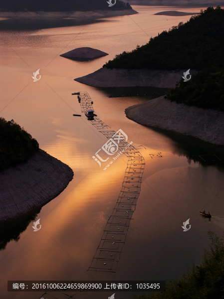 水箱養(yǎng)殖