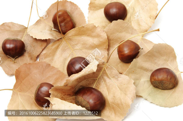 chesnuts