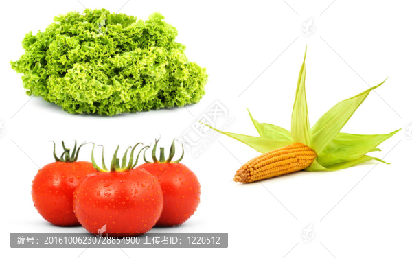 低熱量生蔬菜