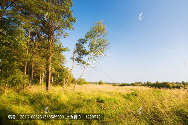 美麗的風(fēng)景