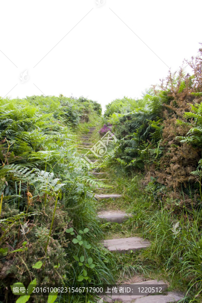 景觀附近海域布列塔尼