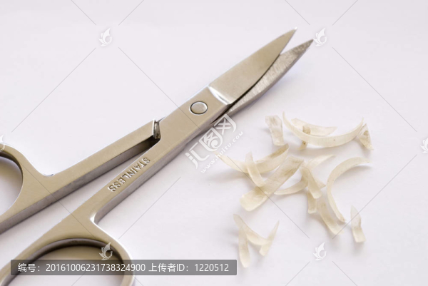 趾甲剪