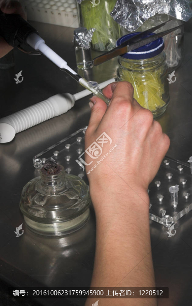 微生物科學(xué)