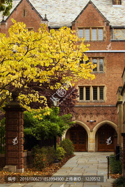 耶魯大學