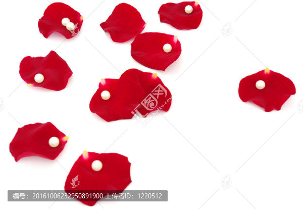 玫瑰花瓣