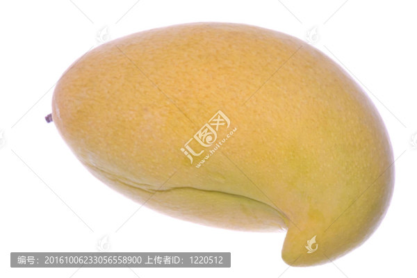 Waterlily,Mango分離