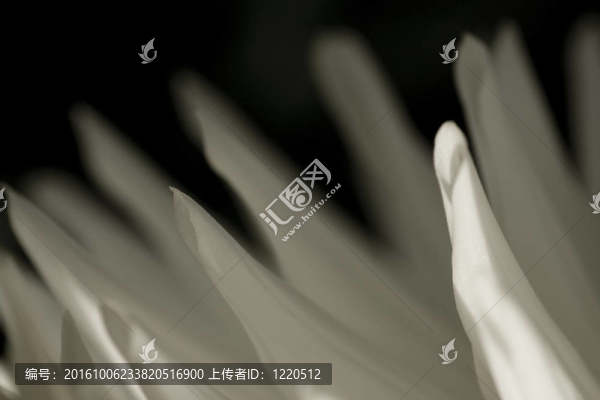 背景我