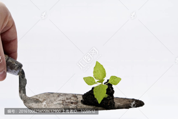 小廠