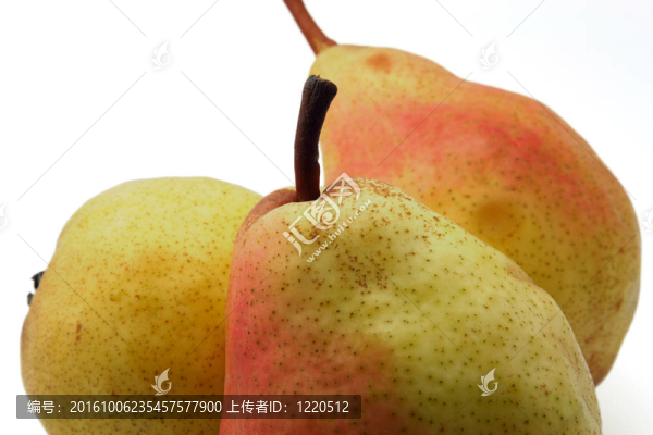 白梨