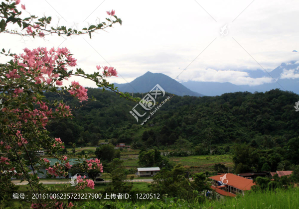 基納巴盧山的場景