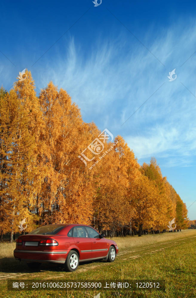 紅車近秋林