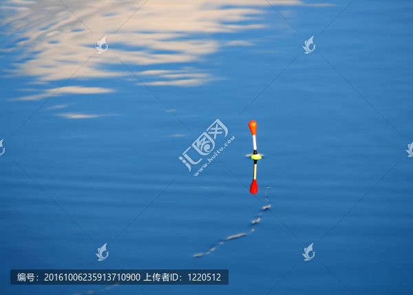 浮在波紋水上