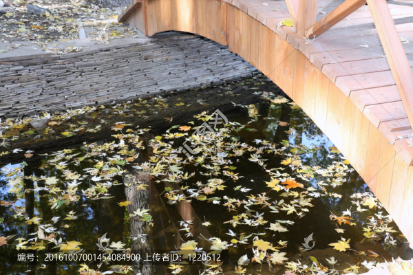 公園里的橋