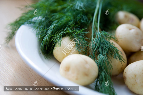 新鮮的土豆和蒔蘿