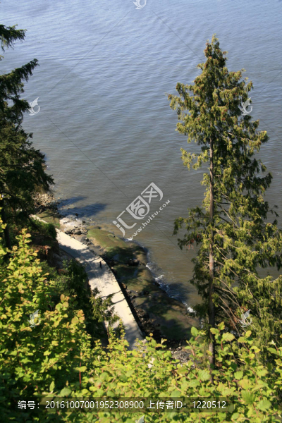海堤-斯坦利公園；溫哥華；加拿大
