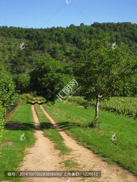 鄉(xiāng)村道路；景觀