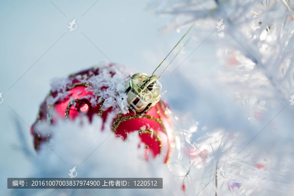 圣誕裝飾
