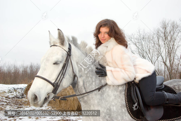 美麗的姑娘在馬背horse.winter