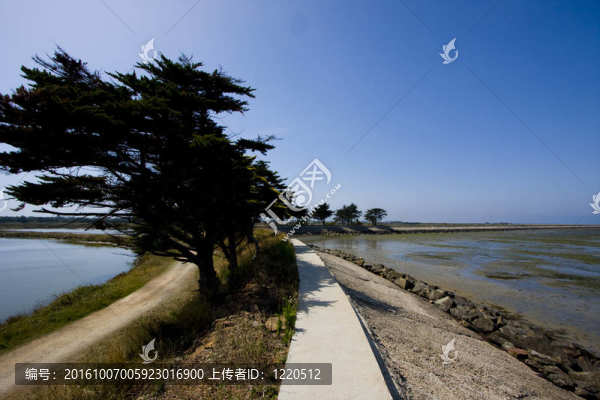 對努瓦爾穆捷島
