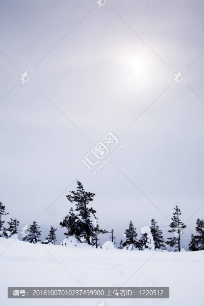 冬季景觀