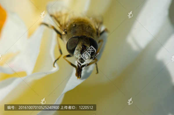 休息