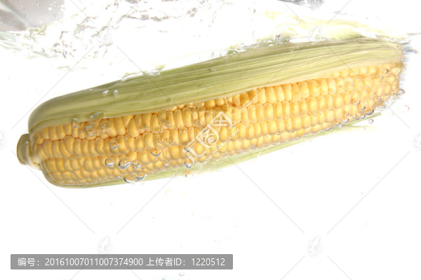 玉米