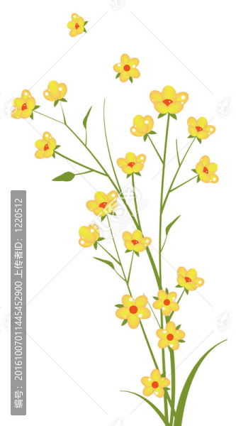 黃色的花