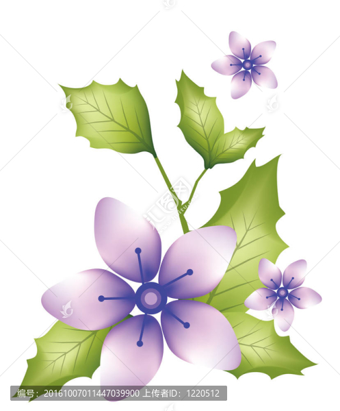 紫色的花