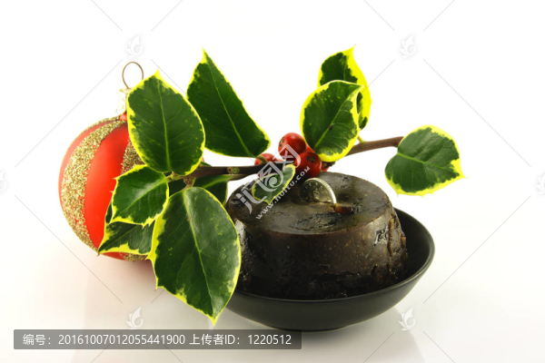 Holly和小玩意兒的圣誕布丁