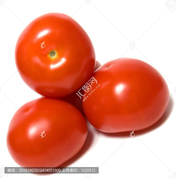 白底紅番茄
