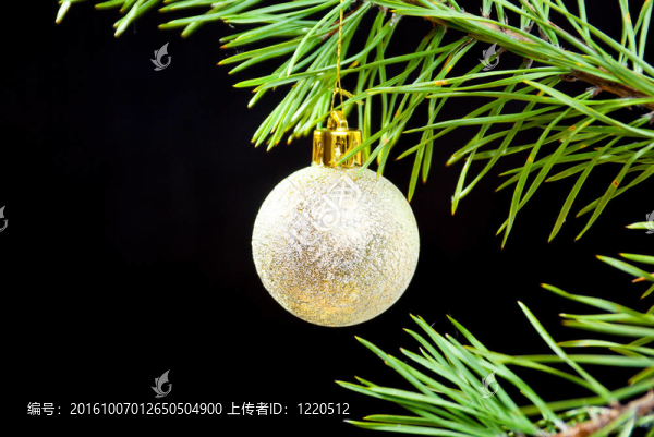 玩具圣誕在暗針葉林的分支
