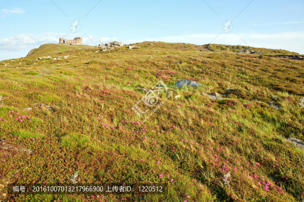 山頂山天文臺(tái)遺址的夏季山景