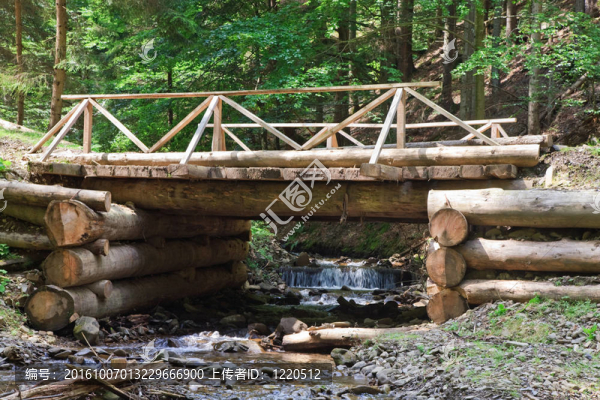 林中木橋