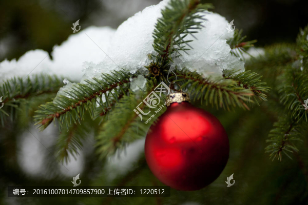 圣誕節(jié)