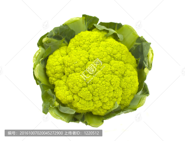 菜花分離