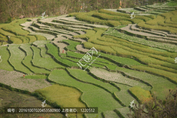 安納布爾納峰的跋涉