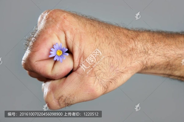 毛人手花的概念與對比
