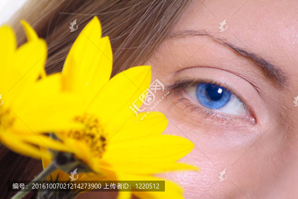 雌眼有黃花二號