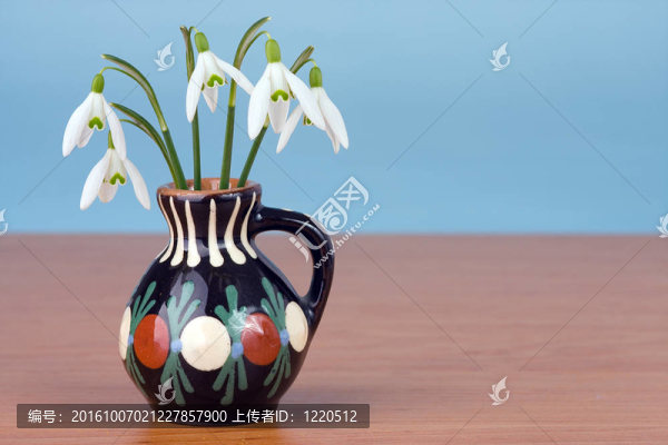 雪蓮花