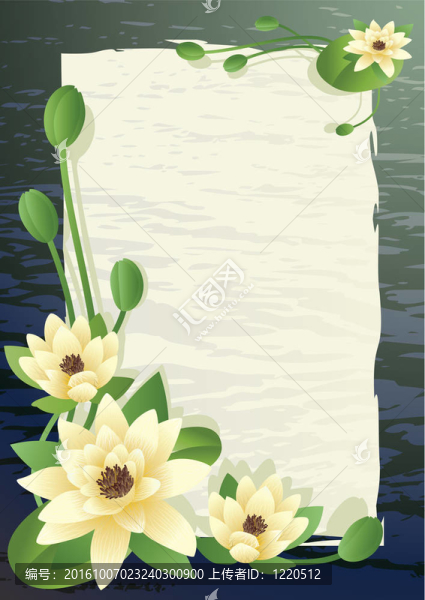 盛開的百合花
